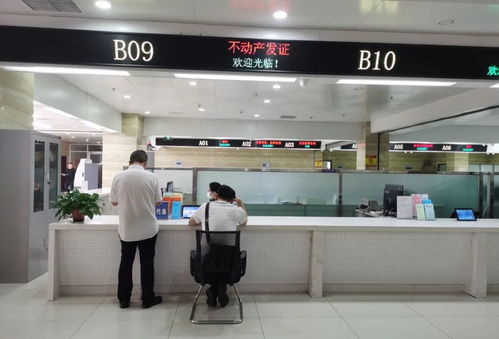 辛集市1單位1個(gè)人榮膺先進(jìn)集體與先進(jìn)工作者稱(chēng)號(hào)，廣州勞務(wù)服務(wù)合作成果顯著